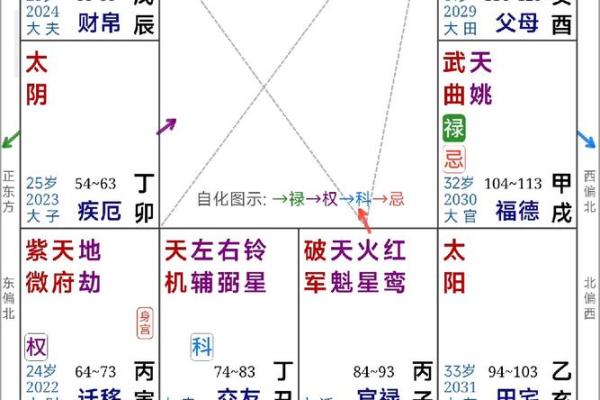 2025年4月15日酉时女命紫微斗数全解盘 2025年4月15日酉时女命紫微斗数全解盘