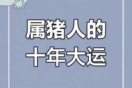 83年属猪男2025年运势_2025年属猪男运势解析83年出生者运程全揭秘