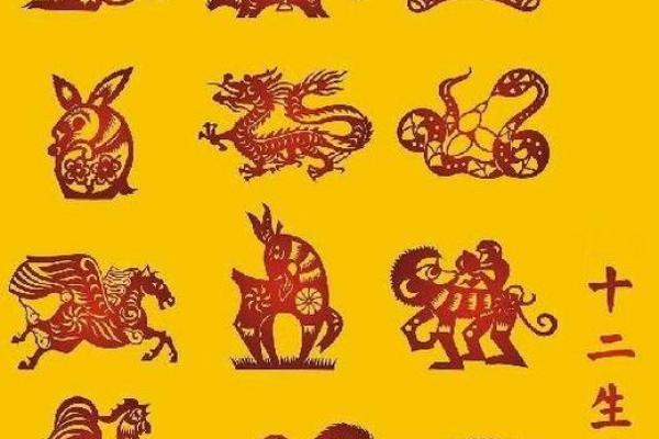 2019年是什么生肖