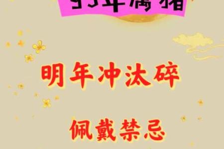 2007属猪男孩2025考试运势_07年猪25年高考顺利吗