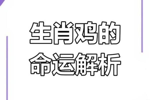 1993年属鸡女一生运势解析事业爱情财运全揭秘 1993年属鸡女一生运势解析事业爱情财运全揭秘