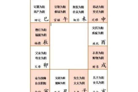 2025年4月21日寅时女命紫微斗数全解盘