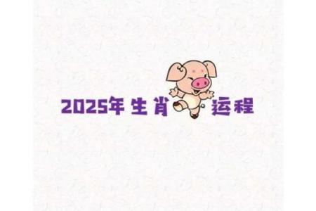 1971年属猪2025年幸运色 1971年属猪2025年幸运色揭秘助你运势飙升