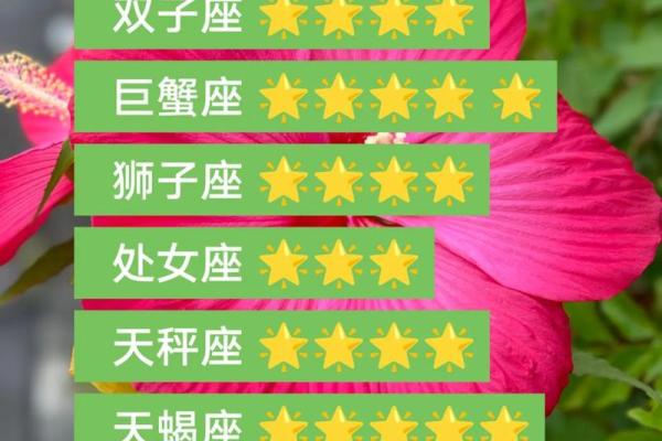 白羊座今日运势今日运程(白羊座今日运势星座网)