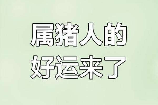 2025年属猪女性三喜临门_属猪人2025转大运时间