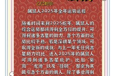 1996年属鼠人2025年运势女性