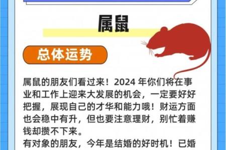 72年属鼠人2025年全年运势运程