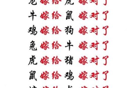 属鸡和属虎的适合做夫妻吗_属鸡和属虎的婚姻配对适合做夫妻吗
