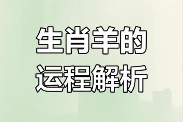 2025属羊的多大_2025年属羊人年龄详解你今年多大 2025属羊的多大_2025年属羊人年龄详解你今年多大