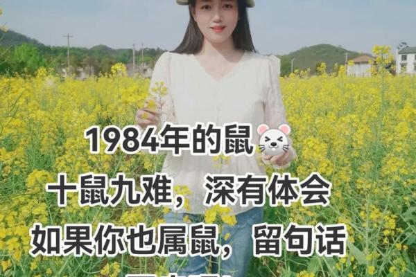 1984年鼠年运势 1984年鼠年运势