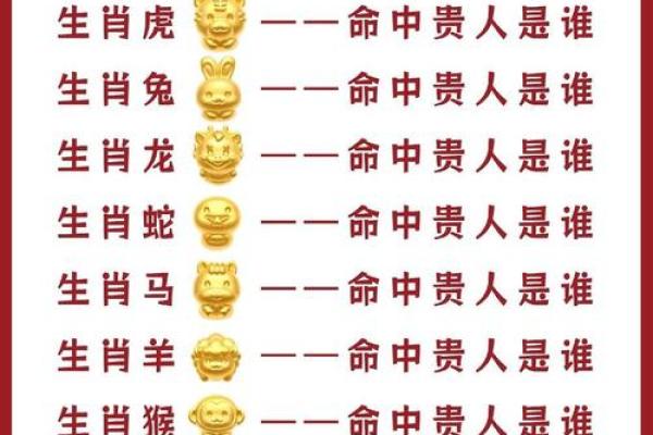2025年属猪的贵人是谁揭秘最佳助力者 2025年属猪的贵人是谁揭秘最佳助力者