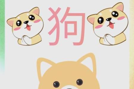 属狗的今年多大了2025年_2025年虚岁年龄表