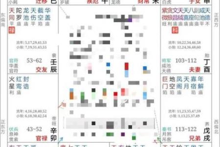 2025年4月30日未时男命紫微斗数全解盘