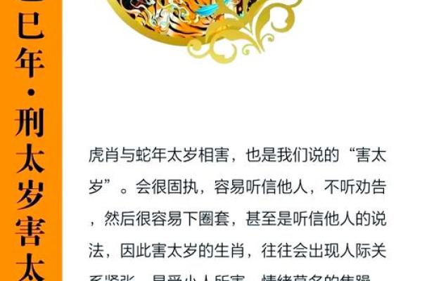 2025年属猪冲太岁运势解析及化解方法 2025年属猪冲太岁运势解析及化解方法
