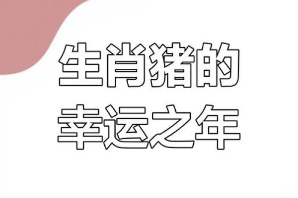 2025年属猪人幸运色揭秘提升运势的最佳选择