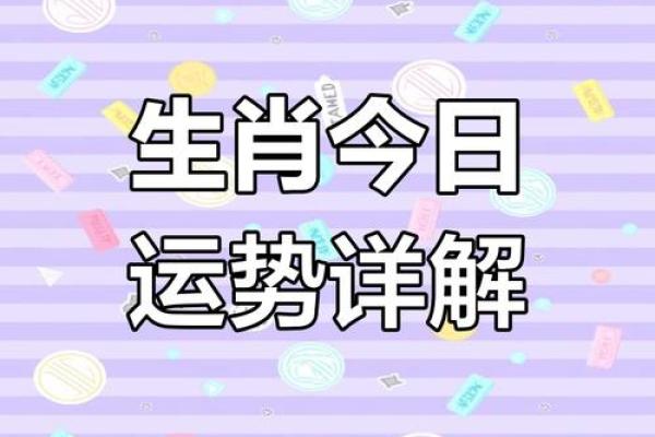 2025年4月13日生肖运势大揭秘 2025年4月13日生肖运势大揭秘