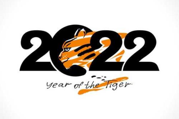 1971属猪2025年运势及运程_1971年属猪2025年运势解析运程详解与吉凶预测 1971属猪2025年运势及运程_1971年属猪2025年运势解析运程详解与吉凶预测