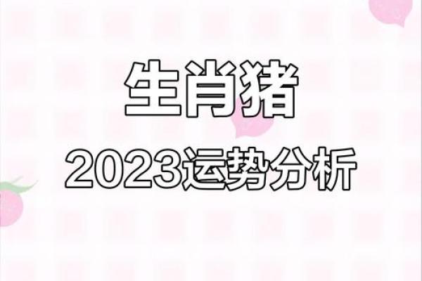 1983年属猪人2023年全年运势详解及运势提升指南 1983年属猪人2023年全年运势详解及运势提升指南