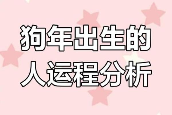 2025年生肖狗运 2025年生肖狗运势详解财运事业感情全解析
