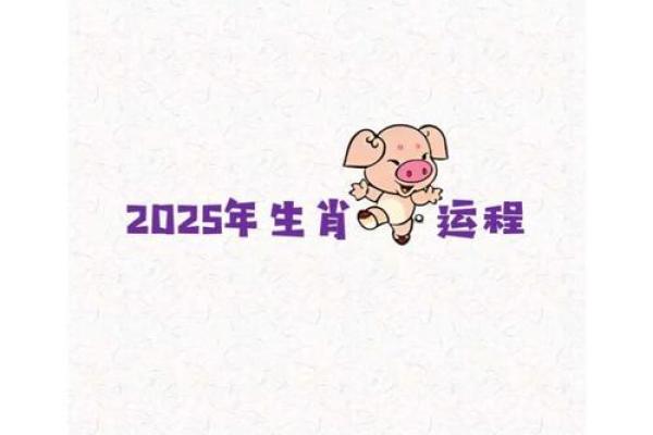 2025猪年运势及运程 2025猪年运势及运程详解
