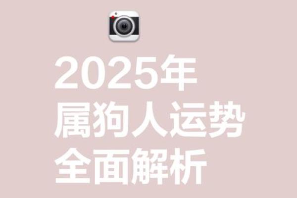 1994年狗2025年运势 2025年1994属狗人的全年运势 1994年狗2025年运势 2025年1994属狗人的全年运势