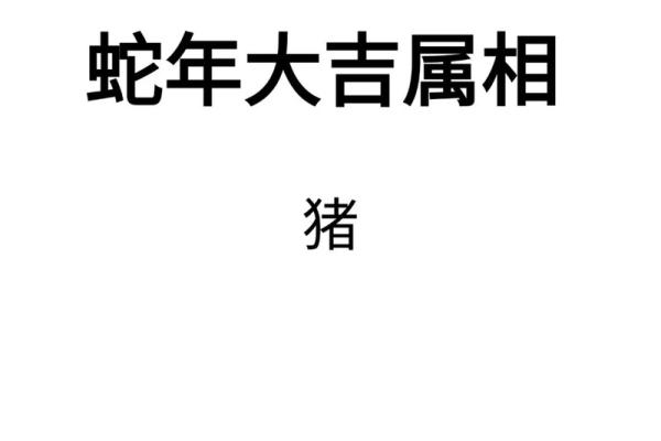 属猪1995年2025年运势及运程_1995年属猪人2023年运势运程每月运程 属猪1995年2025年运势及运程_1995年属猪人2023年运势运程每月运程