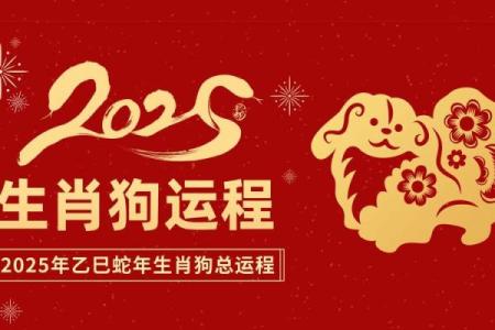 八二年属狗2025年运势 2025年八二年属狗运势解析事业财运与感情健康全攻略