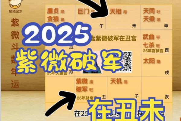 2025年4月22日酉时女命紫微斗数全解盘