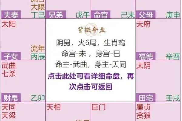 2025年4月10日子时女命紫微斗数全解盘 2025年4月10日子时女命紫微斗数全解盘