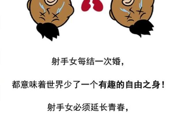 双子座跟射手座(双子座和射手座的配对指数)