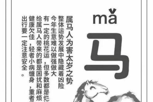 2025年属马人的全年每月运_属马2025年运势及运程详解每月 2025年属马人的全年每月运_属马2025年运势及运程详解每月