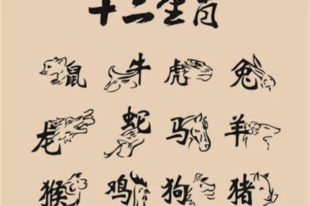 2019年属什么生肖
