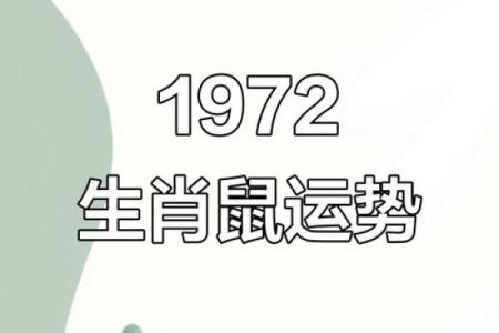 1972年属鼠的今年运势如何