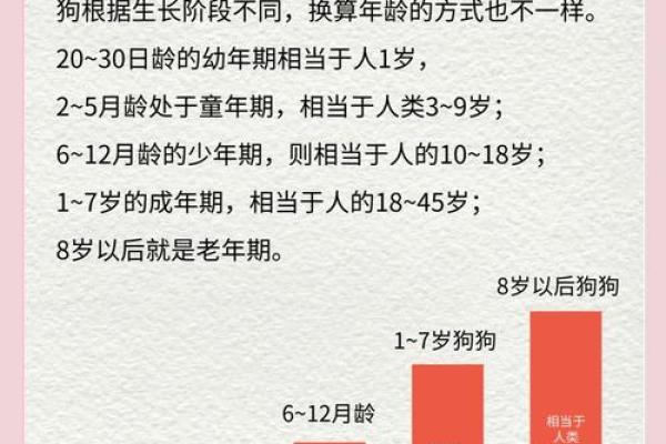 2025年06年属狗人年龄揭秘你几岁了