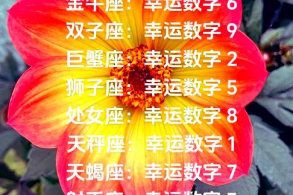 金牛座科技紫微今日运势