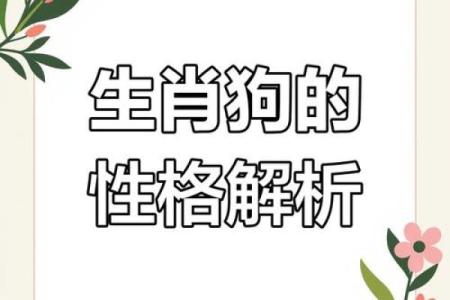1994年属狗五行属什么揭秘94年狗年出生者的命运与五行属性