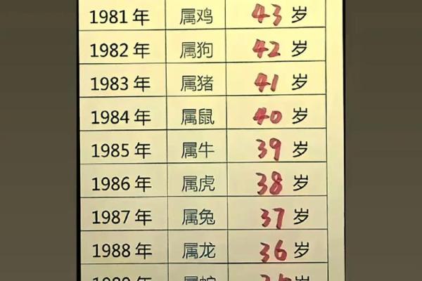 83年属猪人42岁的运势怎么样 83年属猪人42岁运势解析事业财运健康全揭秘