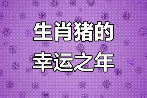 1983年属猪2025年财运如何_83年属猪最旺盛的一年