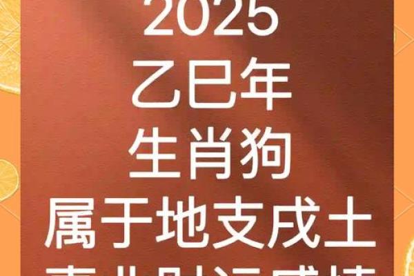 1982年属狗女2025年运势完整版 1982年属狗女2025年全年的运势