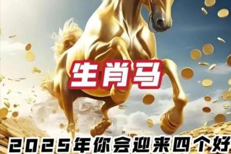 2025年生肖马1990年运势详解_生肖马在2025年的运势