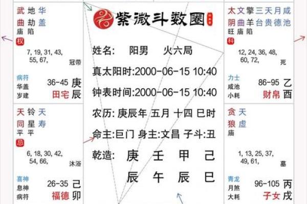 2025年4月22日巳时男命紫微斗数全解盘 2025年4月22日巳时男命紫微斗数全解盘