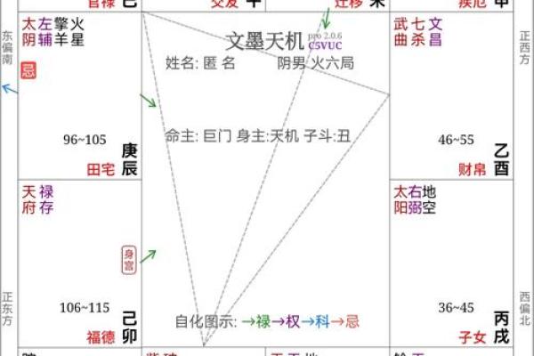 2025年4月21日丑时女命紫微斗数全解盘 2025年4月21日丑时女命紫微斗数全解盘