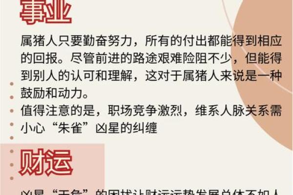 2025年属猪女性全年运势详解事业财运爱情全解析