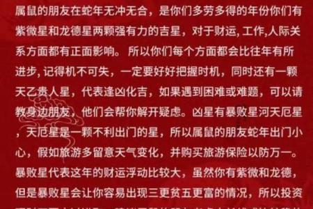 60年的鼠在2025年的运势