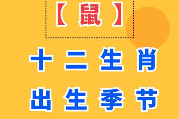 84年鼠今年运势 84年鼠今年运势