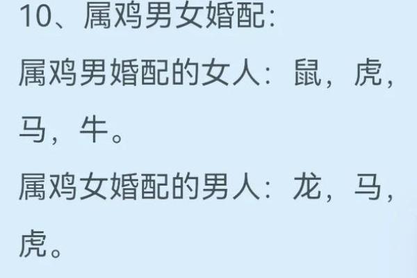 属鸡男与属猪女婚姻合适吗_属鸡男与属猪女婚姻合适吗解析生肖配对幸福指数