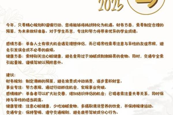 1978年马在2025年运势_1978年属马人2025年运势全解析运程关键与机遇预测 1978年马在2025年运势_1978年属马人2025年运势全解析运程关键与机遇预测