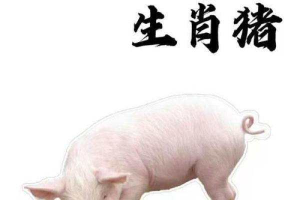 1983年属猪的婚姻和命运 1983年属猪的婚姻和命运农历初三 1983年属猪的婚姻和命运 1983年属猪的婚姻和命运农历初三