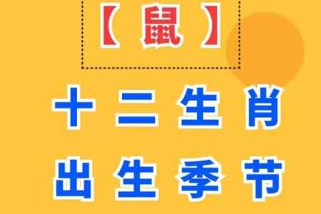 84年鼠今年运势