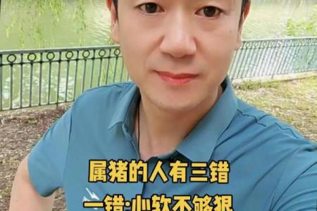 71年属猪男在2025年每月运势_71年属猪男人在2023年的全年运势